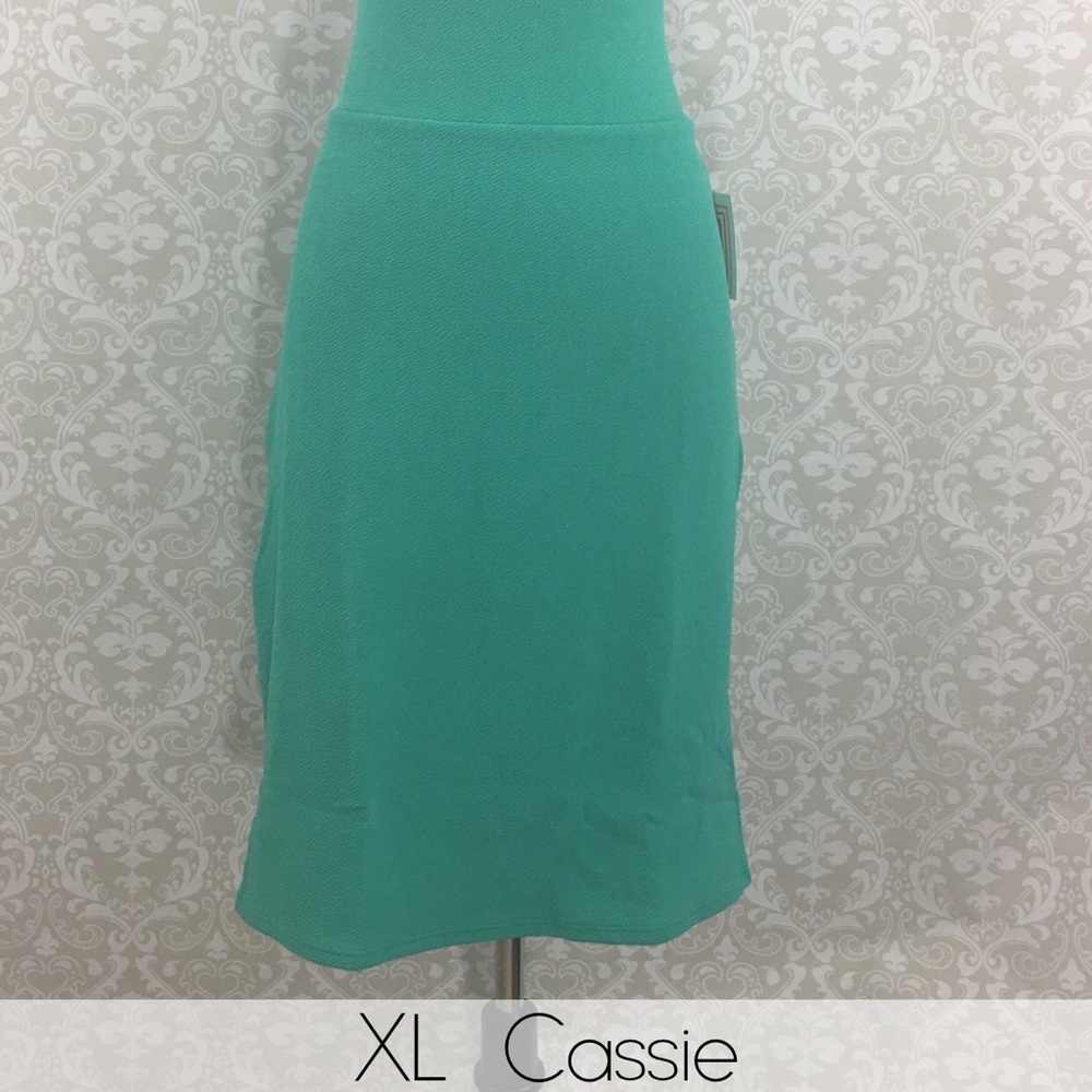 BNWT LulaRoe Cassie Skirt in XL